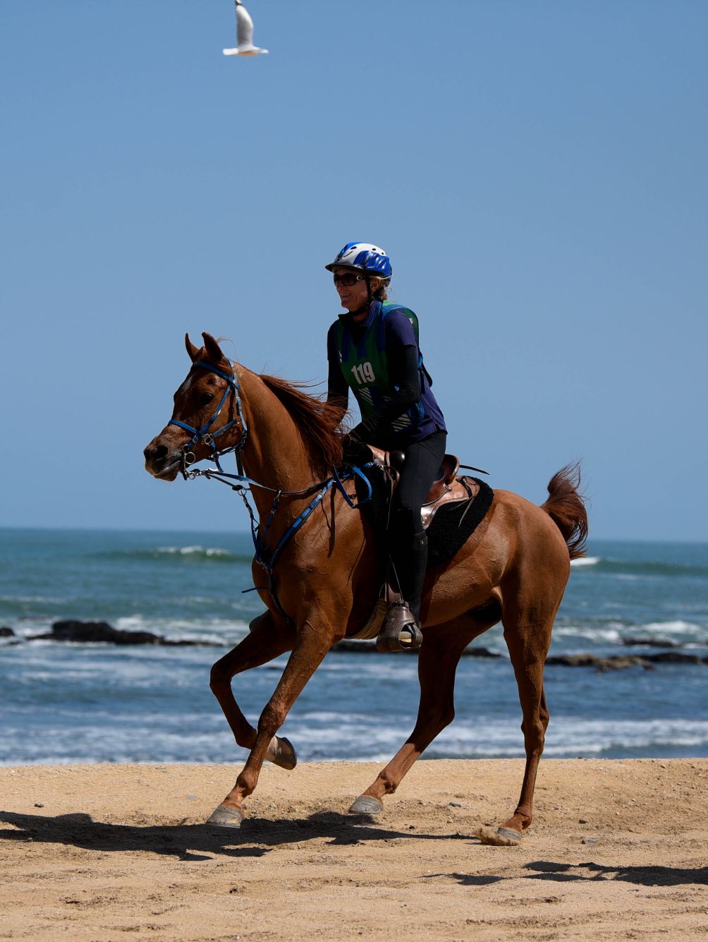 Highlights (151 of 231)_resized.jpg